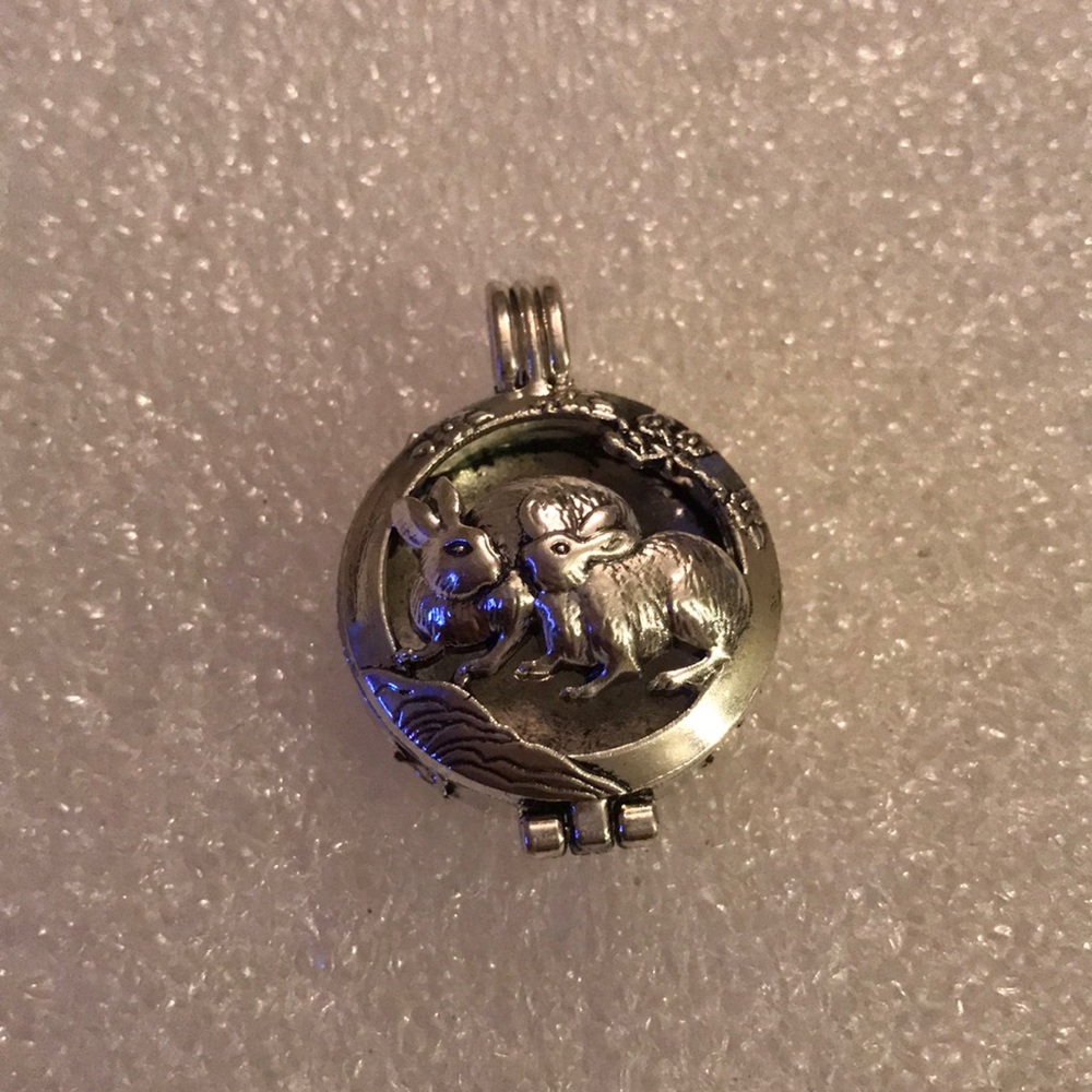 Locket pendent